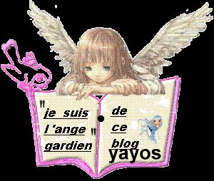 yayos